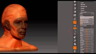 Famous ZBrush 4R5 reduce polygons with Delete Loops Net Worth