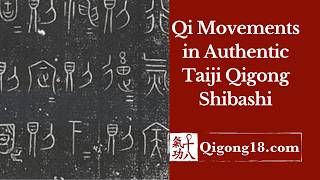 Qigong for beginners:  Qi Movements theory and the Authentic Taiji Qigong Shibashi system