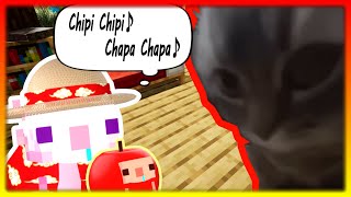 Chipi Chipi Chapa Chapa Cat Axolotls! Xd