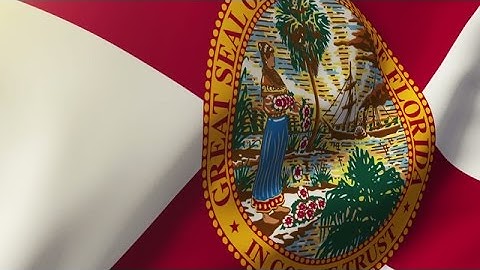 Florida Flag Waving In The Wind. Looping Sun Rises Style. Animation Loop Stock Animation