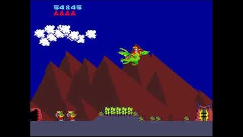 [Arcade High Score] Firebeast - 119,875