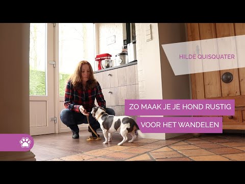 Video: Raak hertfluitjies honde aan?