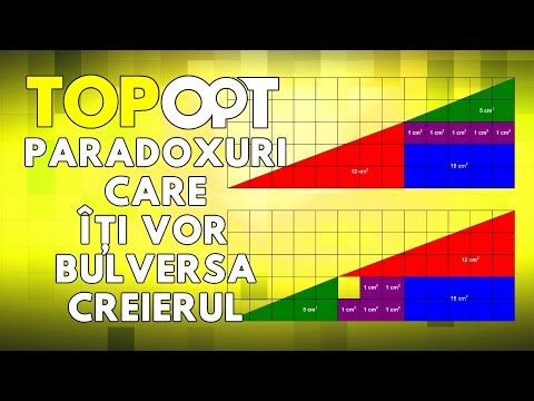 Video: Paradoxul Coastei - Vedere Alternativă