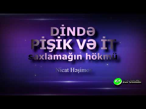 Dində pişik və it saxlamağın hökmü \\ Nicat Həşimov