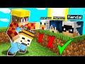 BIG VANILLA 2 - SCOPRIAMO IDENTITA' DEL BIG LADRO SU MINECRAFT!