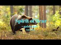 Spirit of Bear via Galaxygirl | November 8, 2020