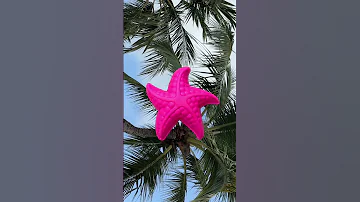 Moments In Saint Lucia Islandlife Artist 