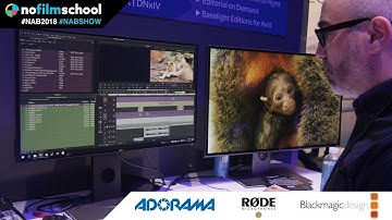 Avid Gives Media Composer a Live Timeline (and Other Sweet Features, Too)