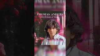 Thomas Anders - Don't Be So Shy (AI Cover)