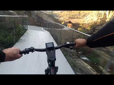 ველობილიკი ბოტანიკურ ბაღში