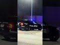 Fatal hit-and-run