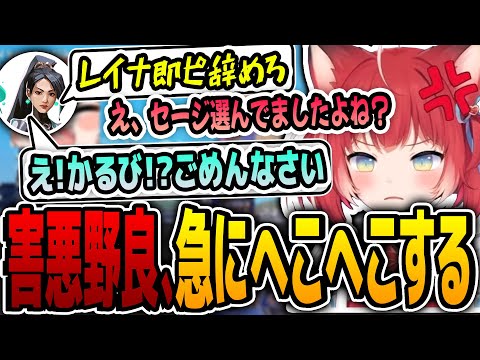 【G昇格戦で・・・】害悪野良、かるびに気付いた瞬間に情けない感じになる...【赤見かるび 切り抜き Valorant】