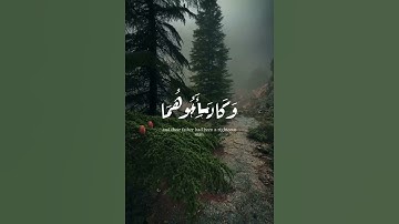 سورة الكهف آيه{ ٨٢}#المصحف #quran #اكسبلور #حالات_واتس #islamicfestival #islamicholiday #duet #لايك