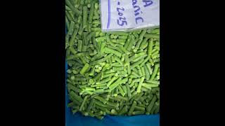 Full IQF frozen green beans News