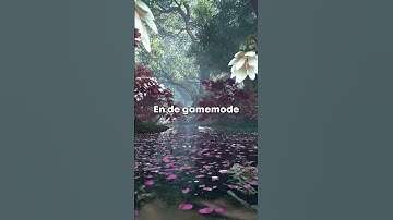 Mijn eigen kijker server is nu live! STEAM ONLY