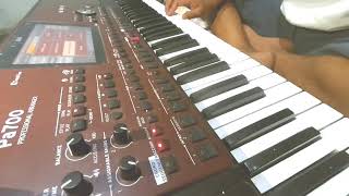 FATAMORGANA (Cover) musik instrument
