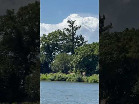 【夏の雲☁️】北海道新篠津村の美しい夏の一風景2025年8月15日