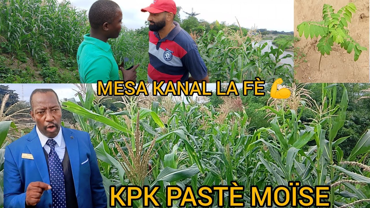 💪KPK GAD GROSÈ YON JADEN MAYI DLO KANAL KPK A FÈ ANMWEY KANAL SA SE DELIVRANS PÈP LA🙆