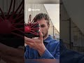 AI Camera Paragraphica Revolutionary Photos with AI #tech #techtech #gadgets