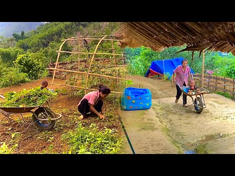 Ly Thi Yen spent the entire day renovating the vegetable growing area.