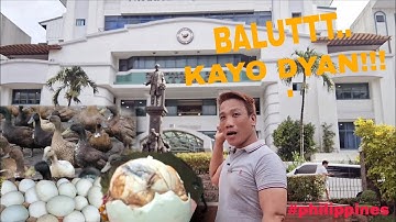 BALUT CAPITAL OF THE PHILIPPINES! TARA NA... [ Pateros, Metro Manila Philippines ]