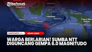 Warga Berlarian! Sumba NTT Diguncang Gempa 6.0 Magnitudo