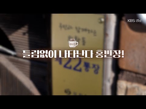 [드립빽] 48화 틀림없이 나타난다 홍반장 (KBS 2025.02.25. 화 방송)