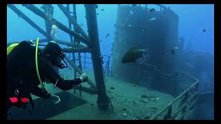 Madeira  Diving the Corveta Afonoso Cerqueira wreck