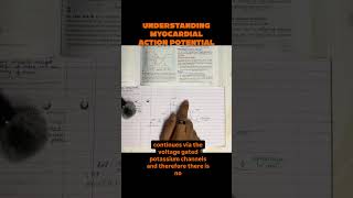 Understand Myocardial Action Potential!