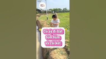 Cô ấy đi bắt tôm hùm và cái kết #funny #haihuoc #shorts