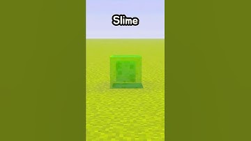 Which Blocks Protect You From Fall Damage 😱