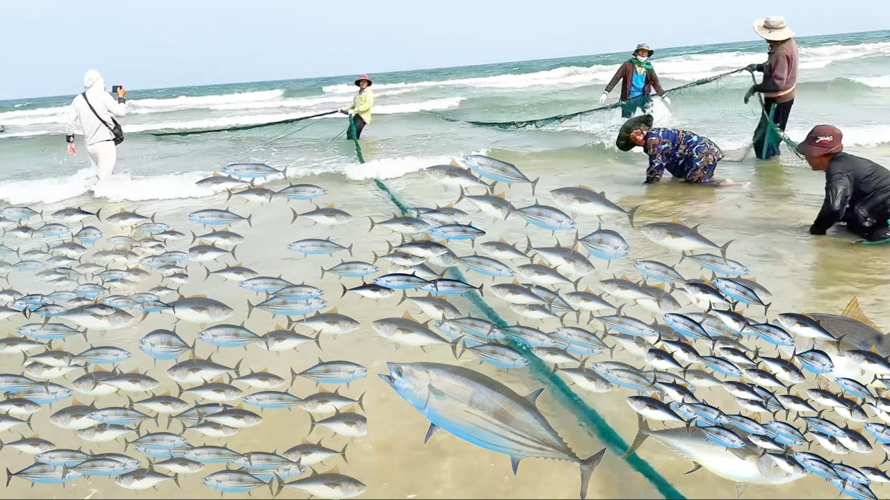 Top 3 Phim Hành Động Đánh Bắc Cá Trên Biển