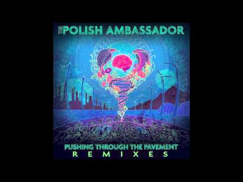 The Polish Ambassador - Let The Rhythm Just ft. Mr. Lif & Ayla Nereo (eO & Kyrstyn Pixton Remix)