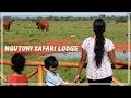 A Kenyan Wildlife Conservancy and Ngutuni safari lodge in Tsavo East Kenya travel vlog