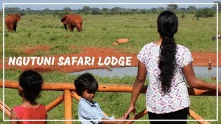 A Kenyan Wildlife Conservancy and Ngutuni safari lodge in Tsavo East Kenya travel vlog