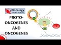 7. Proto-oncogenes and Oncogenes