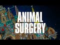Dance Gavin Dance - Animal Surgery (Official Visualizer)