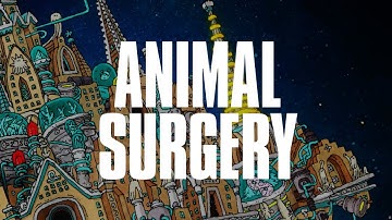 Thumbnail of Dance Gavin Dance - Animal Surgery (Official Visualizer)