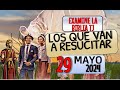  los que van a resucitar  examine la biblia tj