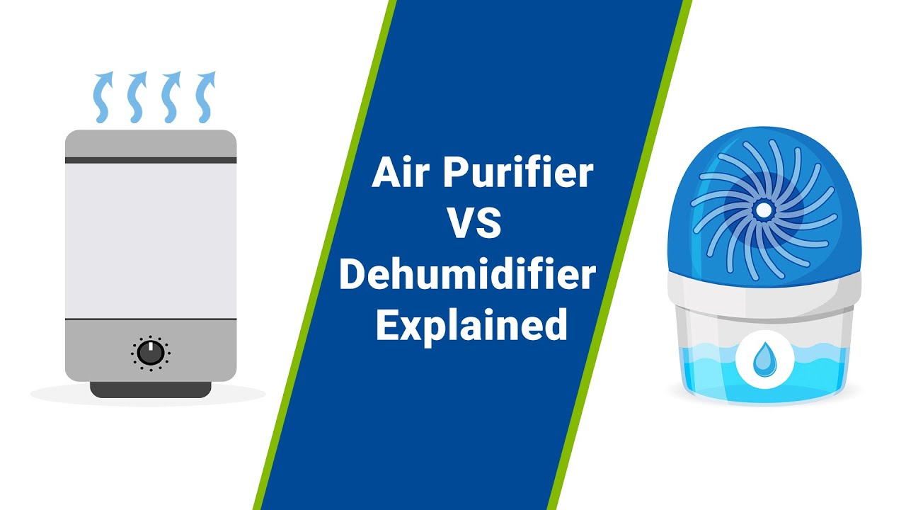 What'S Better For Mold Air Purifier Or Dehumidifier?