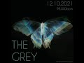 Grey - Butterfly