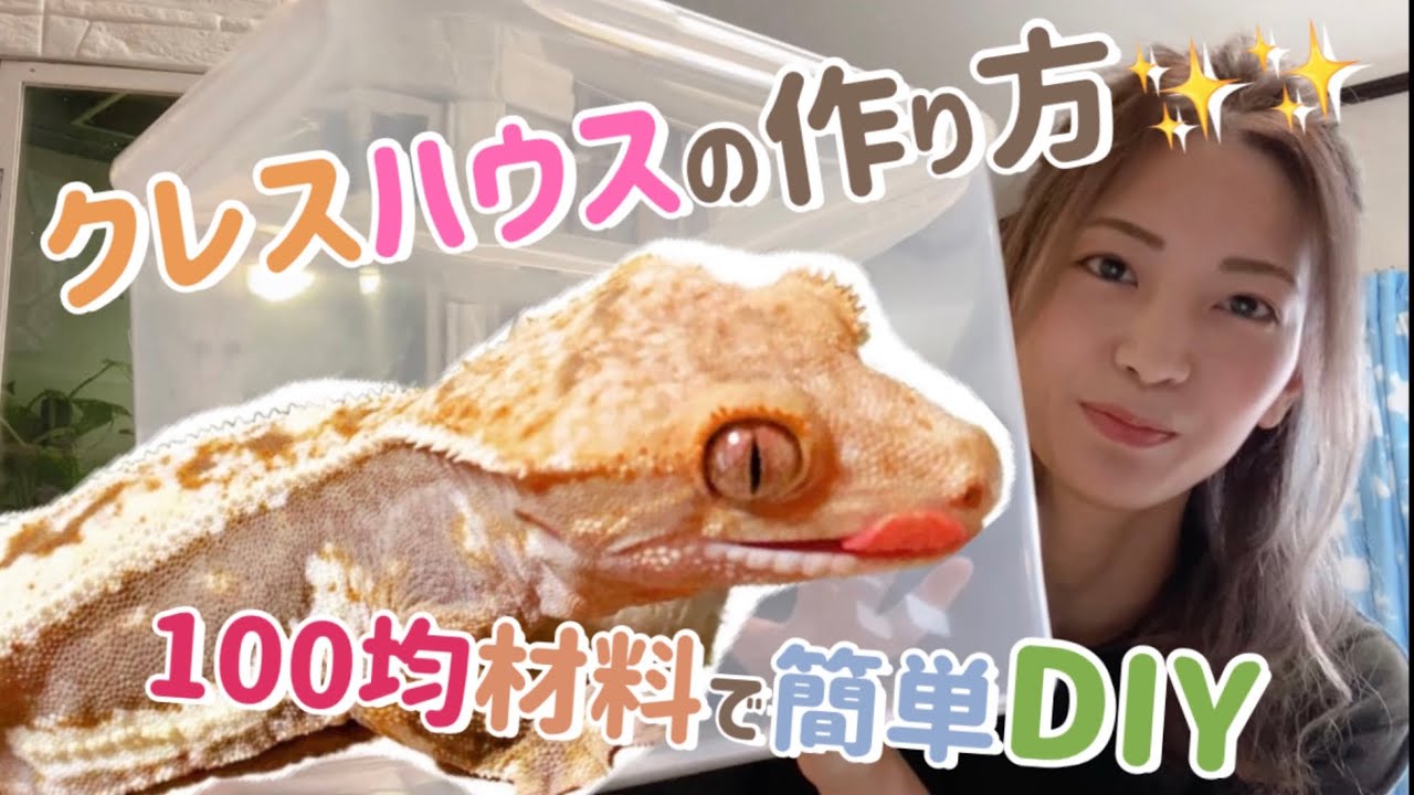 簡単！クレスハウスの作り方！100均編☆ - YouTube