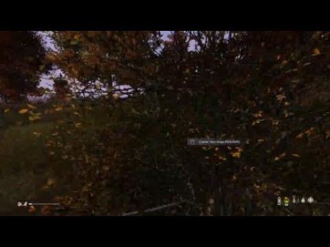 Dayz camper машина