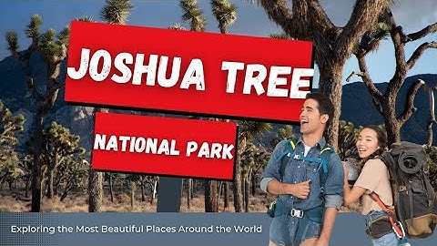 Journey Through Joshua Tree National Park: Tips and Highlights