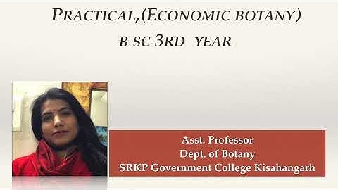 BSc lll Practical  Economic Botany