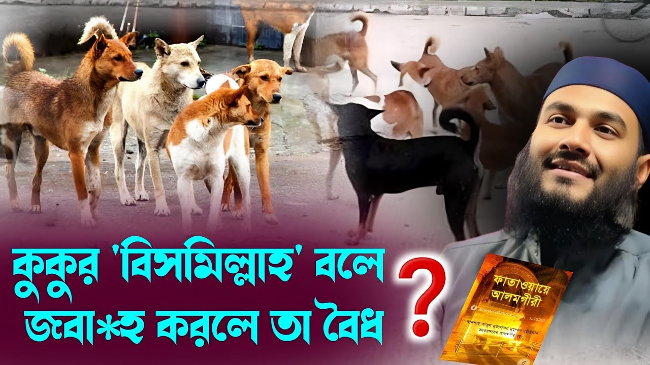 কুকুর বিসমিল্লাহ বলে জবা*হ করলে তা বৈধ❓আজগুবি ফতোয়া। Momtajul Islam Jalsa
