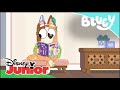 Bluey: Piojos | Disney Junior Oficial