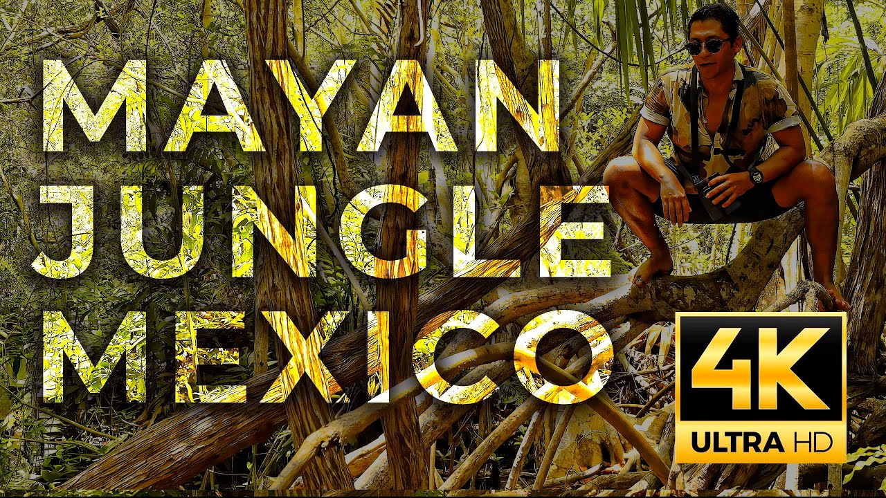 Sisal Expert Guide 4K Exploring Riviera Maya Yucatan Mexico