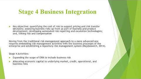 The ERM Maturity Model
