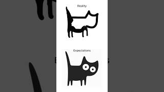 Black Cat Drawing #cat